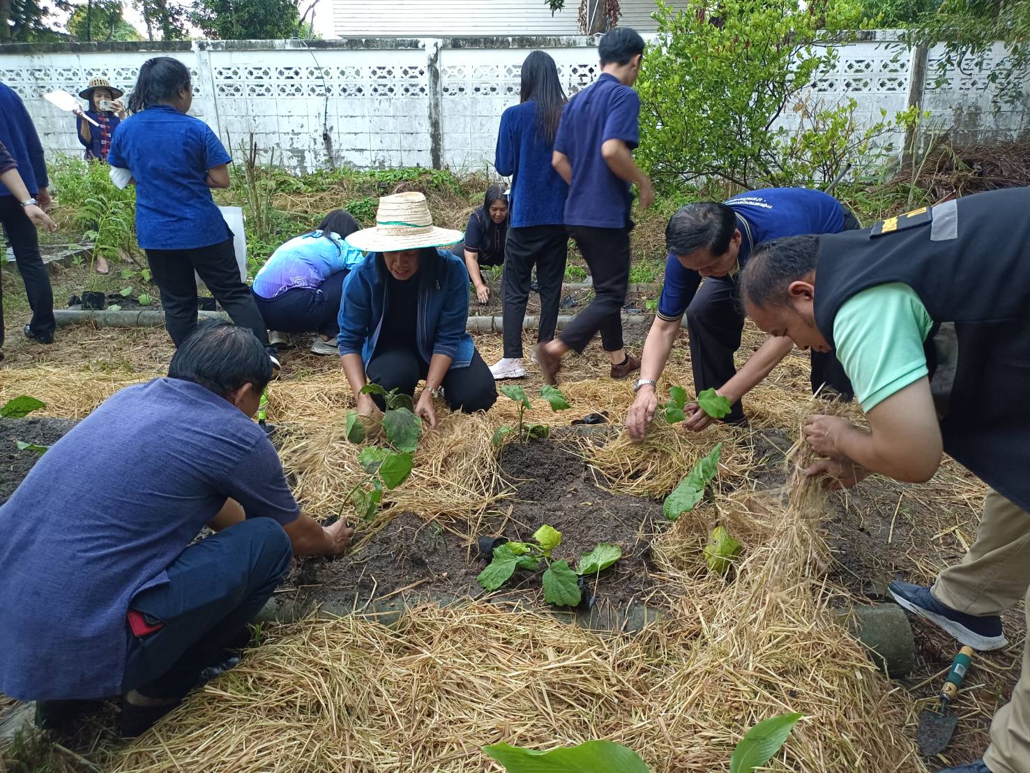 พช.ระยอง ขับเคลื่อนการน้อมนำแนวพระราชดำริของสมเด็จพระกนิษฐาธิราชเจ้า กรมสมเด็จพระเทพรัตนราชสุดาฯ สยามบรมราชกุมารี สู่ปฏิบัติการปลูกผักสวนครัว เพื่อสร้างความมั่นคงทางอาหาร ประจำปี 2566