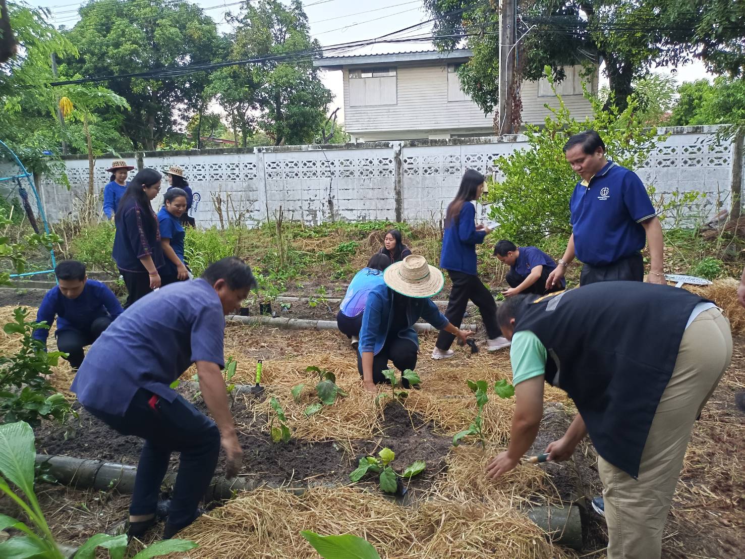 พช.ระยอง ขับเคลื่อนการน้อมนำแนวพระราชดำริของสมเด็จพระกนิษฐาธิราชเจ้า กรมสมเด็จพระเทพรัตนราชสุดาฯ สยามบรมราชกุมารี สู่ปฏิบัติการปลูกผักสวนครัว เพื่อสร้างความมั่นคงทางอาหาร ประจำปี 2566