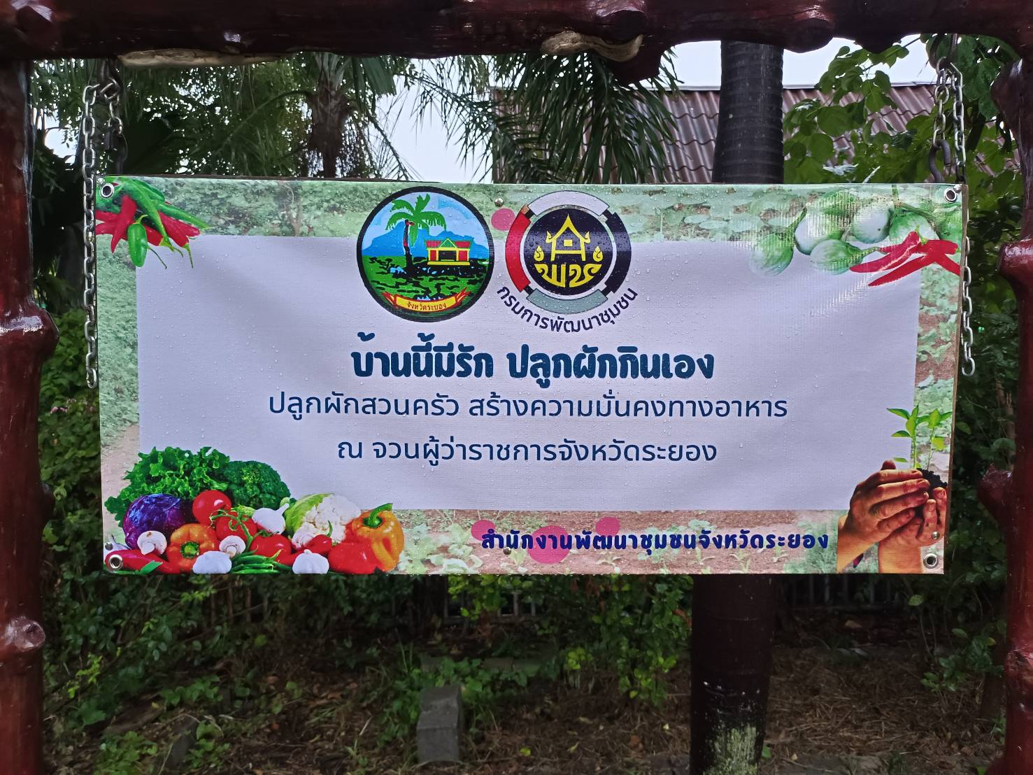 พช.ระยอง ขับเคลื่อนการน้อมนำแนวพระราชดำริของสมเด็จพระกนิษฐาธิราชเจ้า กรมสมเด็จพระเทพรัตนราชสุดาฯ สยามบรมราชกุมารี สู่ปฏิบัติการปลูกผักสวนครัว เพื่อสร้างความมั่นคงทางอาหาร ประจำปี 2566