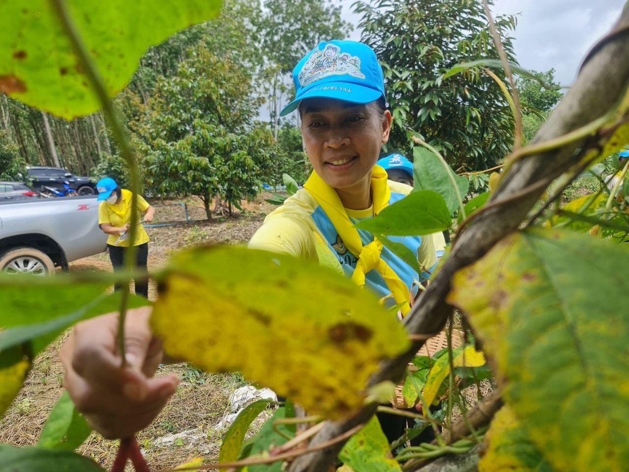พช.ระยอง จัดกิจกรรม “วันรักต้นไม้ประจำปี พ.ศ. 2566” เนื่องในวันคล้ายวันพระราชสมภพของสมเด็จพระศรีนครินทราบรมราชชนนี และกิจกรรม “รวมพลคน โคก หนอง นา เอามื้อ สามัคคี” จังหวัดระยอง ครั้งที่ 7/2566