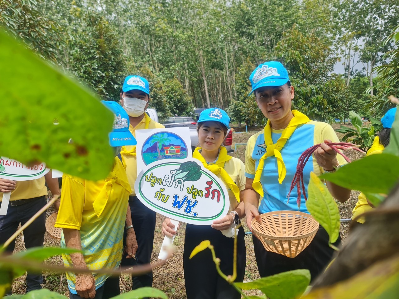 พช.ระยอง จัดกิจกรรม “วันรักต้นไม้ประจำปี พ.ศ. 2566” เนื่องในวันคล้ายวันพระราชสมภพของสมเด็จพระศรีนครินทราบรมราชชนนี และกิจกรรม “รวมพลคน โคก หนอง นา เอามื้อ สามัคคี” จังหวัดระยอง ครั้งที่ 7/2566