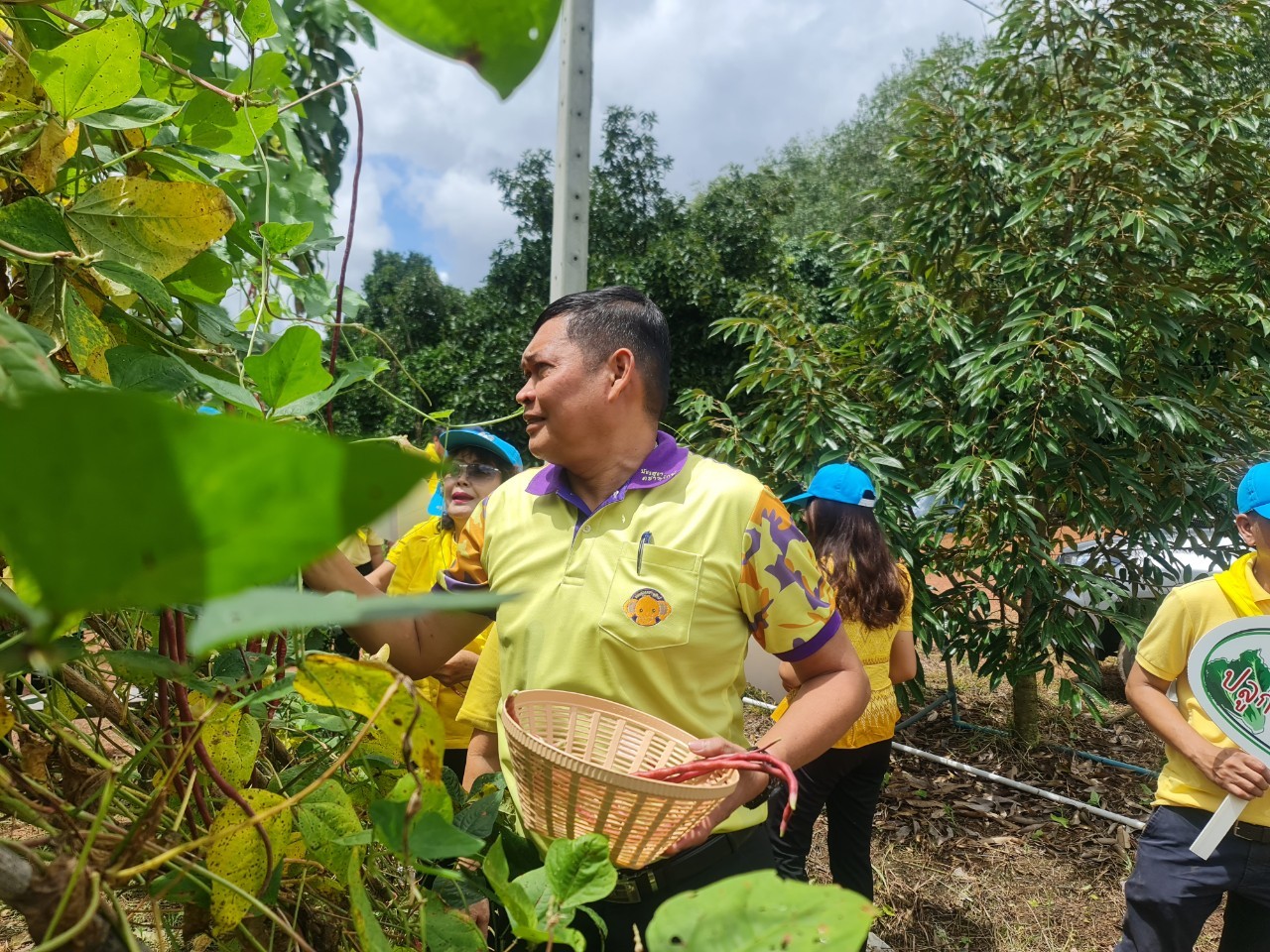 พช.ระยอง จัดกิจกรรม “วันรักต้นไม้ประจำปี พ.ศ. 2566” เนื่องในวันคล้ายวันพระราชสมภพของสมเด็จพระศรีนครินทราบรมราชชนนี และกิจกรรม “รวมพลคน โคก หนอง นา เอามื้อ สามัคคี” จังหวัดระยอง ครั้งที่ 7/2566