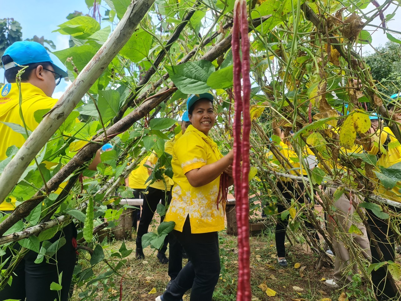 พช.ระยอง จัดกิจกรรม “วันรักต้นไม้ประจำปี พ.ศ. 2566” เนื่องในวันคล้ายวันพระราชสมภพของสมเด็จพระศรีนครินทราบรมราชชนนี และกิจกรรม “รวมพลคน โคก หนอง นา เอามื้อ สามัคคี” จังหวัดระยอง ครั้งที่ 7/2566