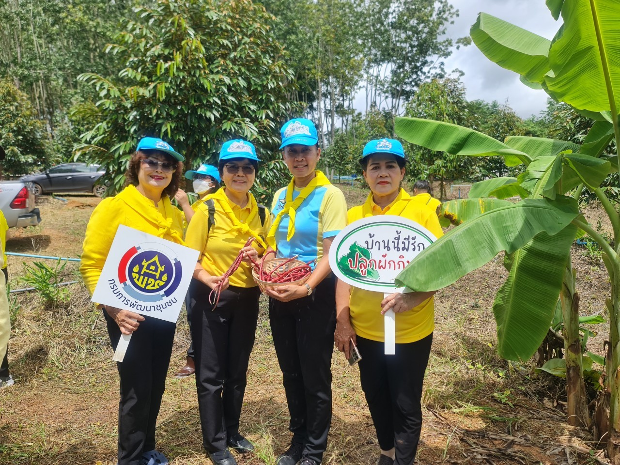 พช.ระยอง จัดกิจกรรม “วันรักต้นไม้ประจำปี พ.ศ. 2566” เนื่องในวันคล้ายวันพระราชสมภพของสมเด็จพระศรีนครินทราบรมราชชนนี และกิจกรรม “รวมพลคน โคก หนอง นา เอามื้อ สามัคคี” จังหวัดระยอง ครั้งที่ 7/2566