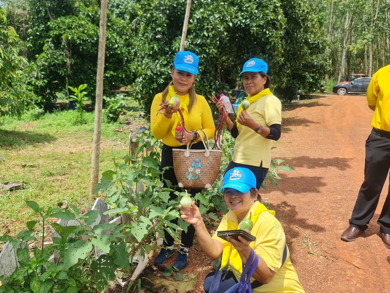 พช.ระยอง จัดกิจกรรม “วันรักต้นไม้ประจำปี พ.ศ. 2566” เนื่องในวันคล้ายวันพระราชสมภพของสมเด็จพระศรีนครินทราบรมราชชนนี และกิจกรรม “รวมพลคน โคก หนอง นา เอามื้อ สามัคคี” จังหวัดระยอง ครั้งที่ 7/2566