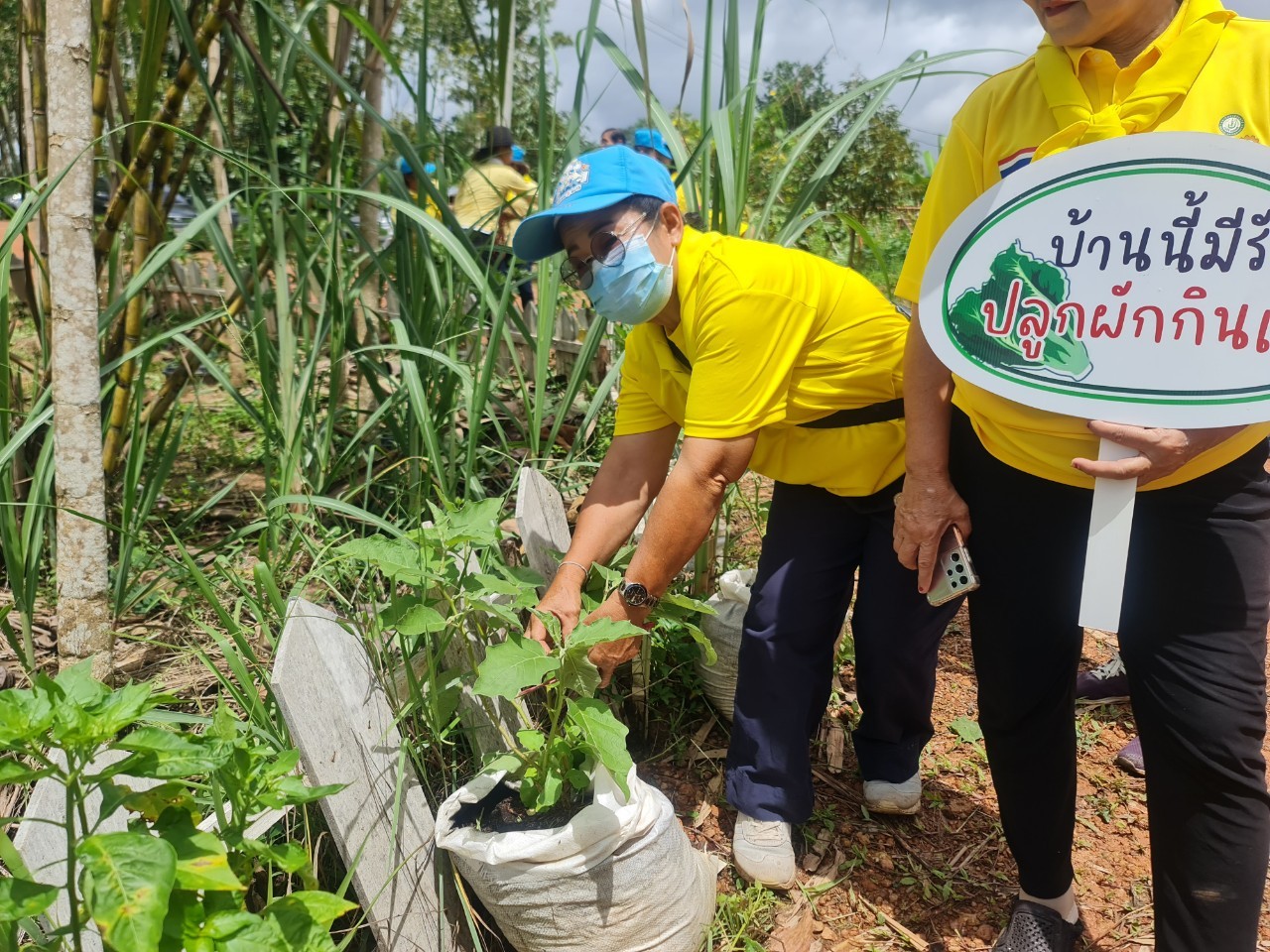 พช.ระยอง จัดกิจกรรม “วันรักต้นไม้ประจำปี พ.ศ. 2566” เนื่องในวันคล้ายวันพระราชสมภพของสมเด็จพระศรีนครินทราบรมราชชนนี และกิจกรรม “รวมพลคน โคก หนอง นา เอามื้อ สามัคคี” จังหวัดระยอง ครั้งที่ 7/2566