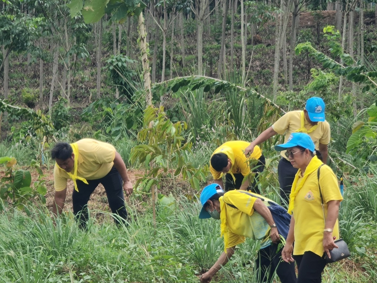 พช.ระยอง จัดกิจกรรม “วันรักต้นไม้ประจำปี พ.ศ. 2566” เนื่องในวันคล้ายวันพระราชสมภพของสมเด็จพระศรีนครินทราบรมราชชนนี และกิจกรรม “รวมพลคน โคก หนอง นา เอามื้อ สามัคคี” จังหวัดระยอง ครั้งที่ 7/2566