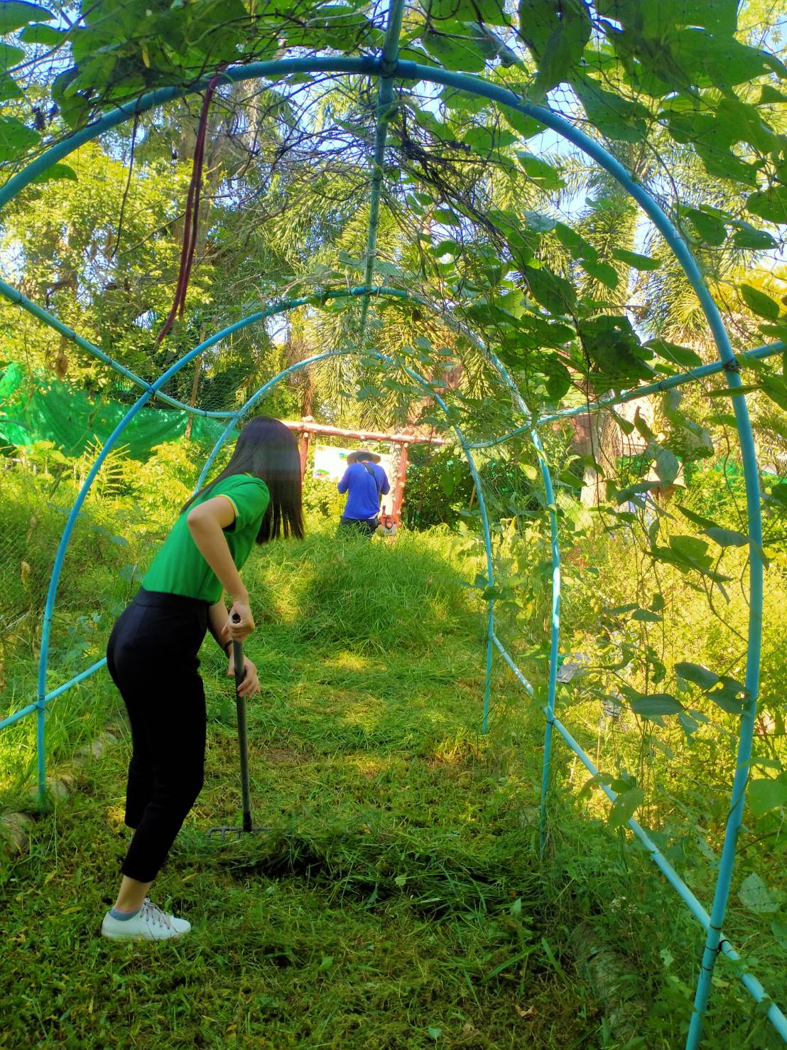 พช.ระยอง ลงพื้นที่ติดตามโครงการ กข.คจ. อ.วังจันทร์ 