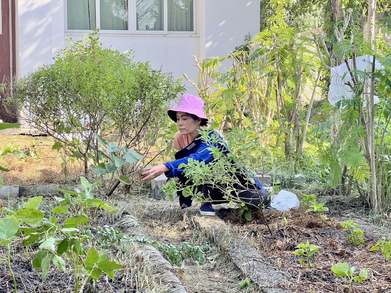 พช.ระยอง ลงพื้นที่ติดตามโครงการ กข.คจ. อ.วังจันทร์ 