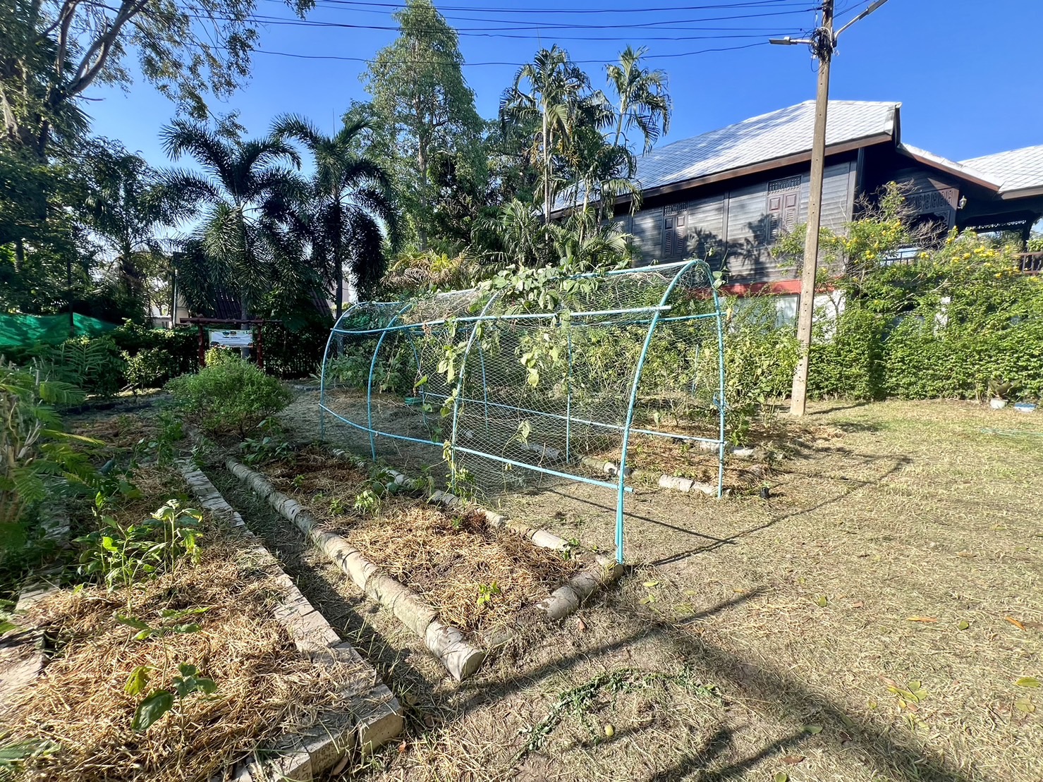 พช.ระยอง ลงพื้นที่ติดตามโครงการ กข.คจ. อ.วังจันทร์ 