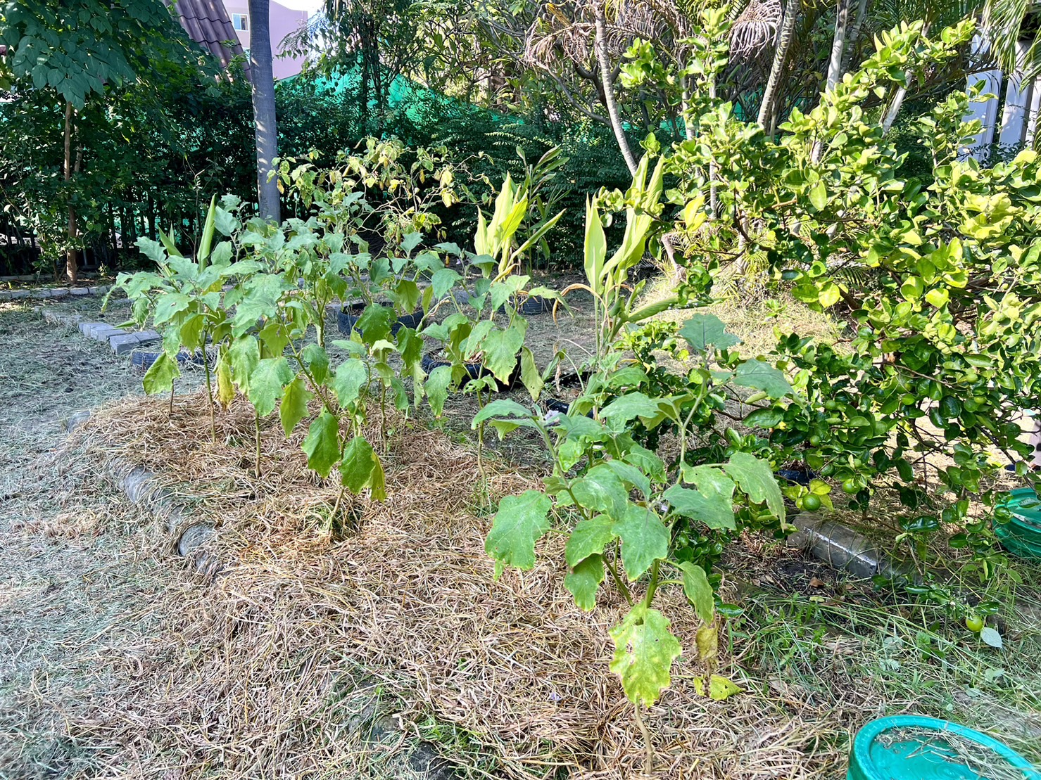 พช.ระยอง ลงพื้นที่ติดตามโครงการ กข.คจ. อ.วังจันทร์ 