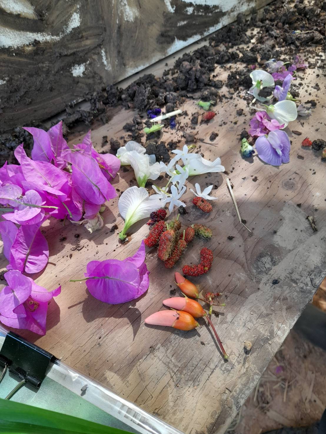 พช.ระยอง จัดกิจกรรม“สร้างศิลปะจากธรรมชาติ ปลูกจิตสำนึกรักษ์ดิน รักษ์น้ำ เนื่องในวันดินโลก”