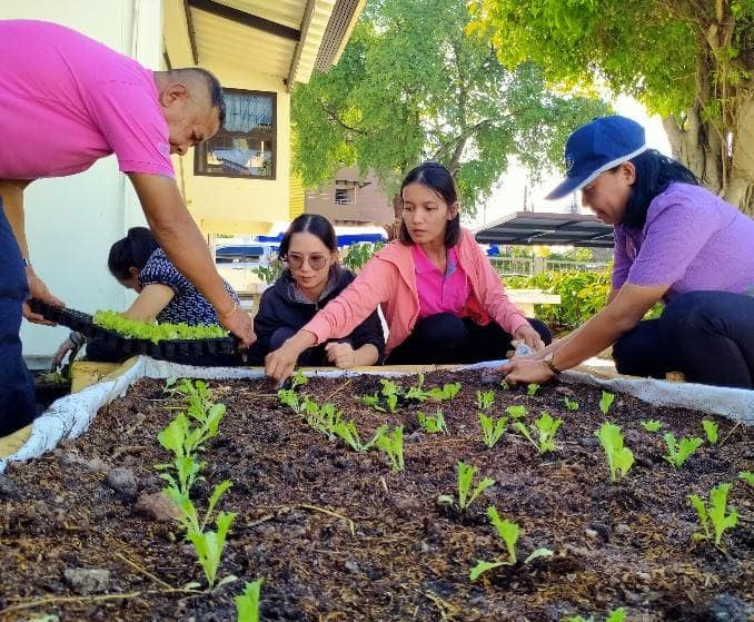 พช.ระยอง ขับเคลื่อนการน้อมนำแนวพระราชดำริของสมเด็จพระกนิษฐาธิราชเจ้า กรมสมเด็จพระเทพรัตนราชสุดาฯ สยามบรมราชกุมารี สู่ปฏิบัติการปลูกผักสวนครัว เพื่อสร้างความมั่นคงทางอาหาร  กิจกรรมผู้นำต้องทำก่อน และ”บ้านนี้มีรักปลูกผักกินเอง”