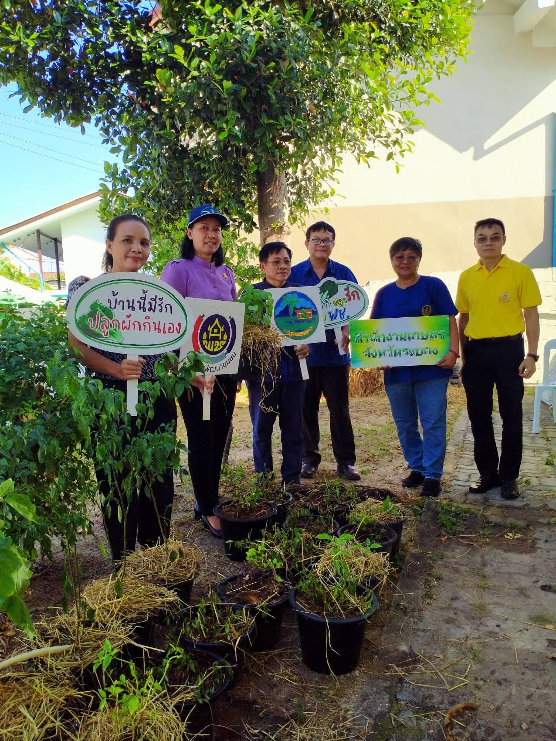 พช.ระยอง ขับเคลื่อนการน้อมนำแนวพระราชดำริของสมเด็จพระกนิษฐาธิราชเจ้า กรมสมเด็จพระเทพรัตนราชสุดาฯ สยามบรมราชกุมารี สู่ปฏิบัติการปลูกผักสวนครัว เพื่อสร้างความมั่นคงทางอาหาร  กิจกรรมผู้นำต้องทำก่อน และ”บ้านนี้มีรักปลูกผักกินเอง”