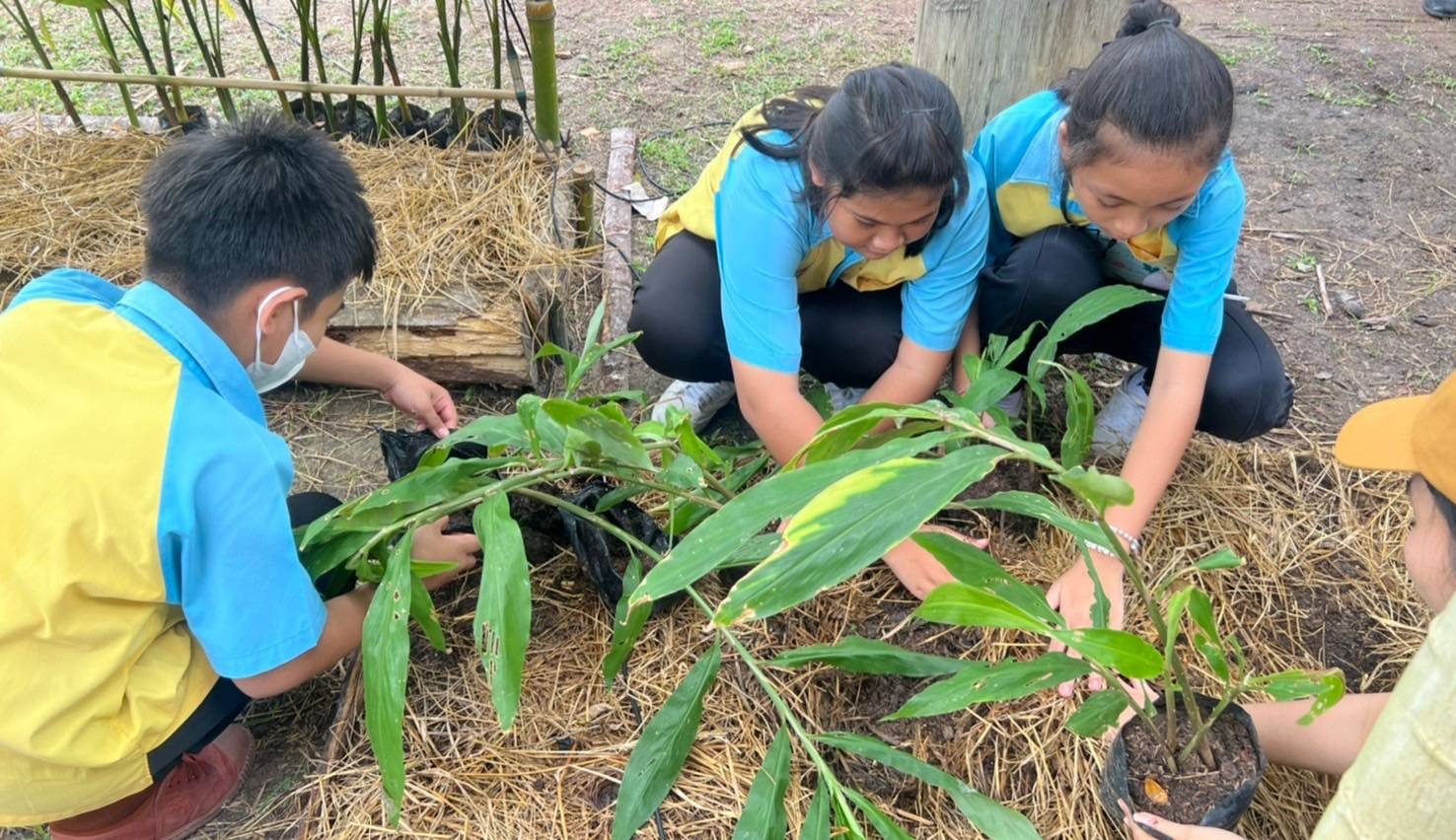 จังหวัดระยอง เปิดโครงการ โคก หนอง นา อารยเกษตร
