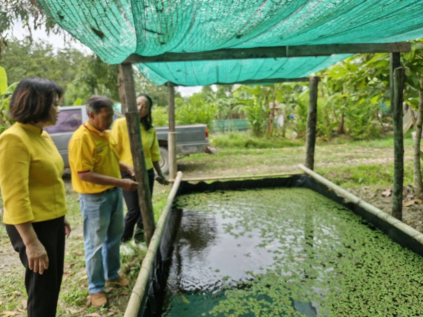 จังหวัดระยอง เปิดโครงการ โคก หนอง นา อารยเกษตร