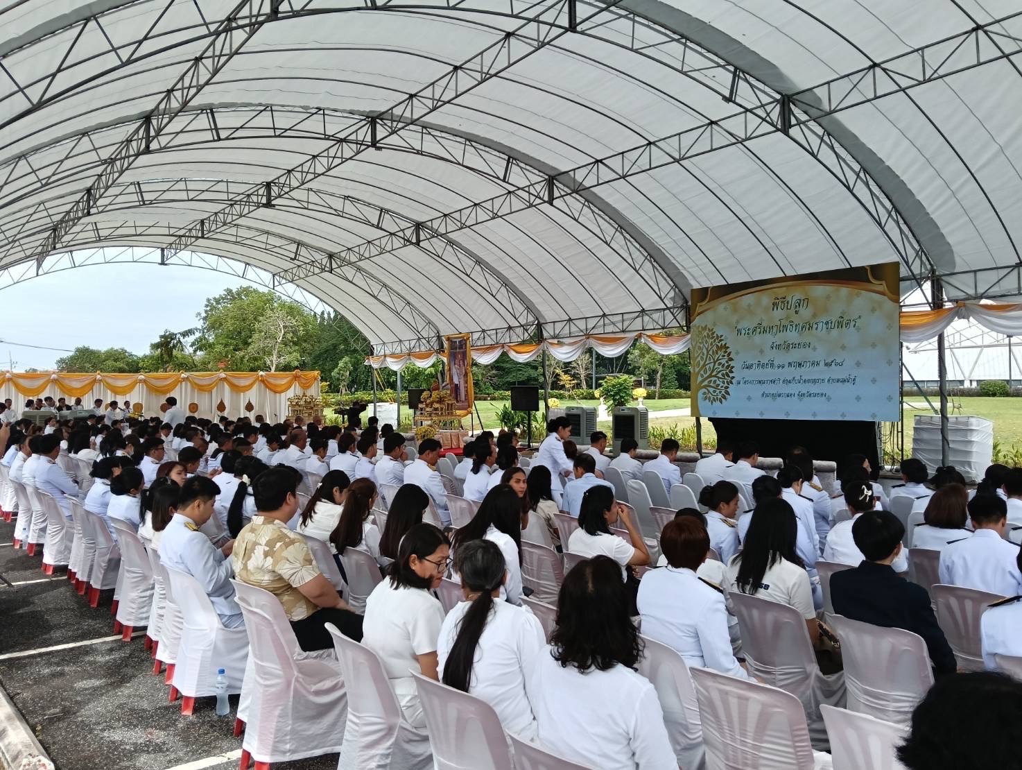 สำนักงานพัฒนาชุมชนจังหวัดระยอง ร่วมพิธีปลูก “พระศรีมหาโพธิทศมราชบพิตร” ณ อ่างเก็บน้ำดอกกราย อำเภอปลวกแดง จังหวัดระยอง