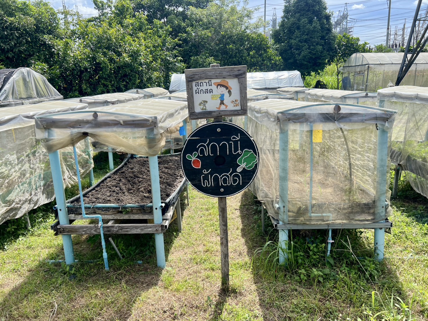 สำนักงานพัฒนาชุมชนจังหวัดระยอง ลงพื้นที่คัดสรรกิจกรรมพัฒนาชุมชนดีเด่นระดับจังหวัด ประจำปี 2568 ณ อำเภอปลวกแดง