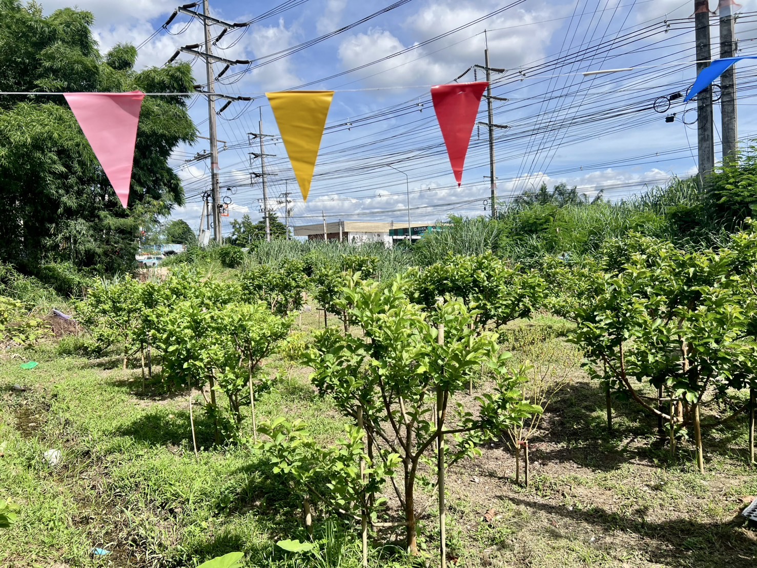 สำนักงานพัฒนาชุมชนจังหวัดระยอง ลงพื้นที่คัดสรรกิจกรรมพัฒนาชุมชนดีเด่นระดับจังหวัด ประจำปี 2568 ณ อำเภอปลวกแดง